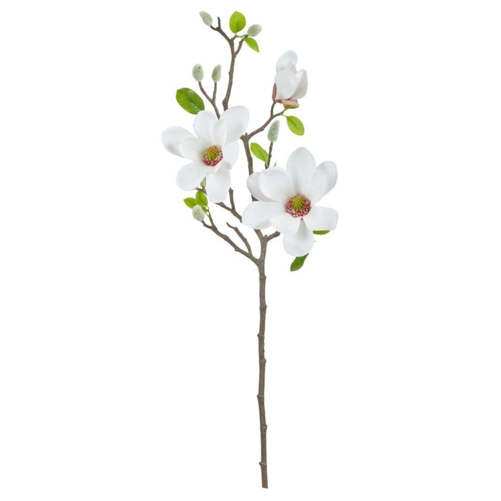 TRALCIO MAGNOLIE WHITE H75